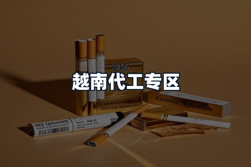 越南代工专区